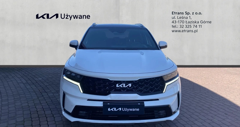 Kia Sorento cena 234000 przebieg: 2000, rok produkcji 2023 z Żary małe 326